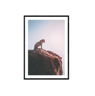 Leopardo