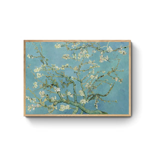 Almendro en Flor - Vincent Van Gogh