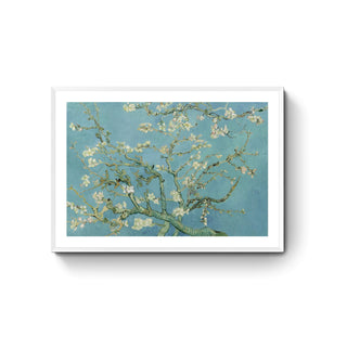 Almendro en Flor - Vincent Van Gogh
