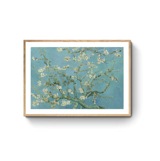 Almendro en Flor - Vincent Van Gogh