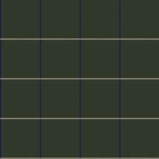 Clan Moss - $19.000 M2