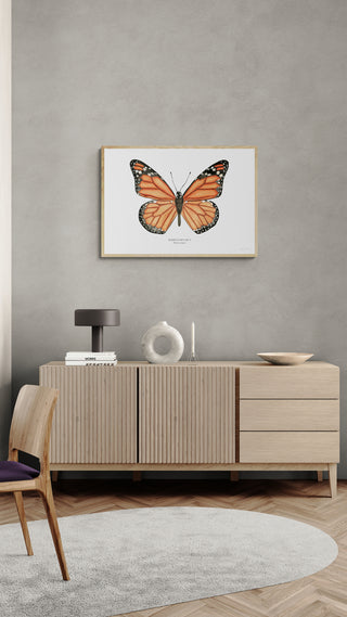 Mariposa Monarca - Fran Sandoval