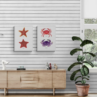 Jaibas - Fran Sandoval