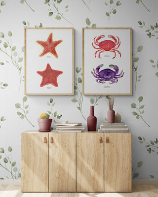 Estrellas de Mar - Fran Sandoval