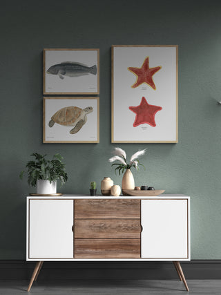 Rollizo - Fran Sandoval