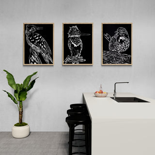 Martín Pescador - Fran Prieto