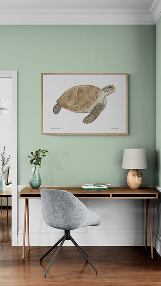 Tortuga Verde  - Fran Sandoval