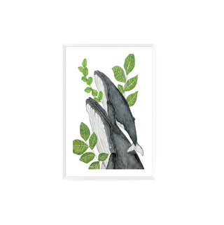 Ballenas, Quillay y Boldo  - Fran Sandoval