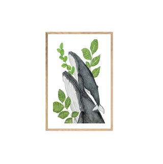 Ballenas, Quillay y Boldo  - Fran Sandoval