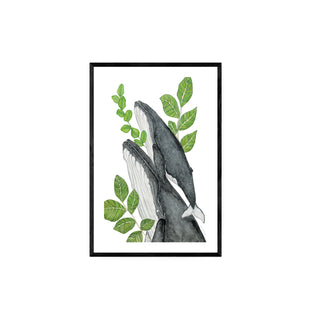 Ballenas, Quillay y Boldo  - Fran Sandoval