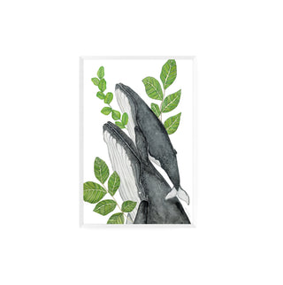 Ballenas, Quillay y Boldo  - Fran Sandoval