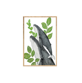 Ballenas, Quillay y Boldo  - Fran Sandoval