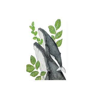 Ballenas, Quillay y Boldo  - Fran Sandoval