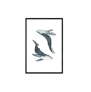 Ballenas que bailan  - Fran Sandoval