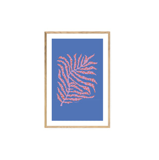 Hoja Botanica I - Fran Guzmán