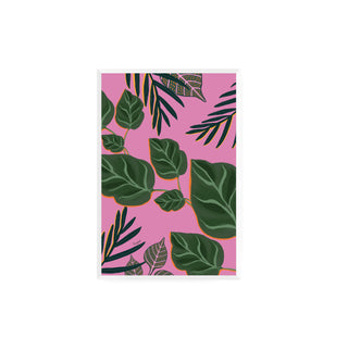 Palmeras y Photos - Fran Guzmán