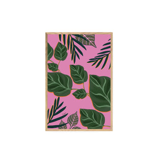 Palmeras y Photos - Fran Guzmán