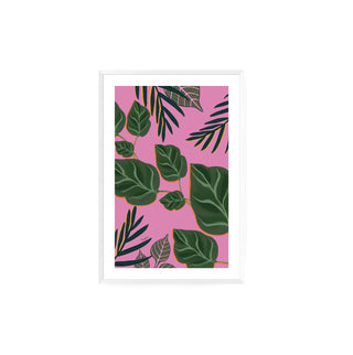 Palmeras y Photos - Fran Guzmán