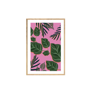 Palmeras y Photos - Fran Guzmán