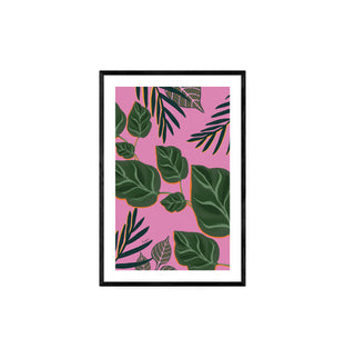 Palmeras y Photos - Fran Guzmán