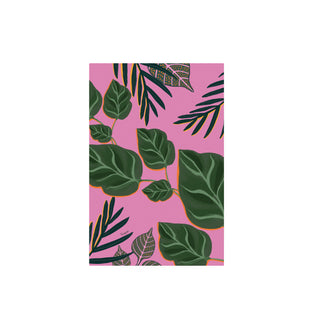 Palmeras y Photos - Fran Guzmán