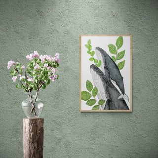 Ballenas, Quillay y Boldo  - Fran Sandoval