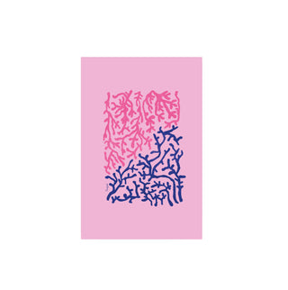 Alga Marina - Fran Guzmán