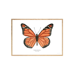 Mariposa Monarca - Fran Sandoval