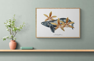 Franca Austral y Orquideas - Tita Bianchi