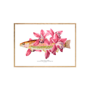 Trucha Orquídea - Tita Bianchi