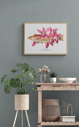 Trucha Orquídea - Tita Bianchi