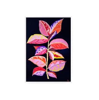 Gomero - Fran Prieto