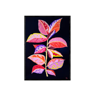 Gomero - Fran Prieto