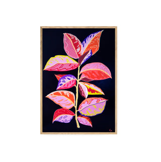 Gomero - Fran Prieto