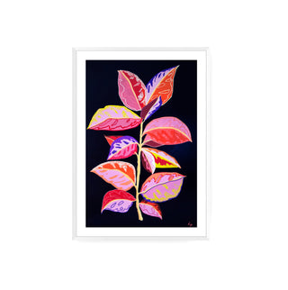 Gomero - Fran Prieto