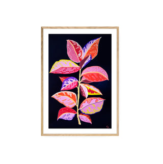 Gomero - Fran Prieto