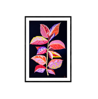 Gomero - Fran Prieto