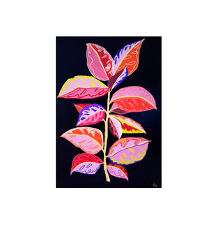 Gomero - Fran Prieto