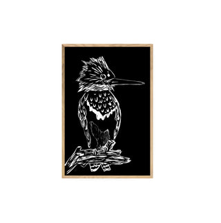 Martín Pescador - Fran Prieto