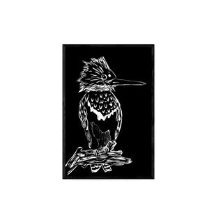 Martín Pescador - Fran Prieto