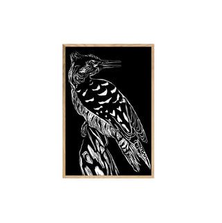 Carpintero - Fran Prieto