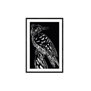 Carpintero - Fran Prieto