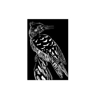 Carpintero - Fran Prieto