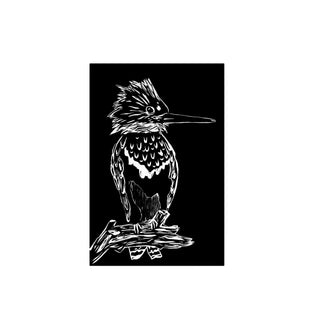 Martín Pescador - Fran Prieto