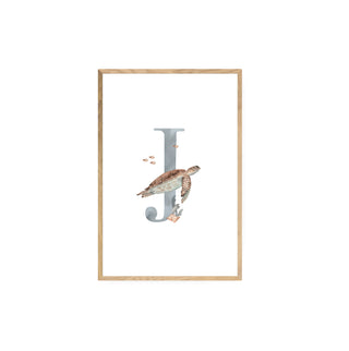 J inicial tortuga - Antonia García de la Huerta