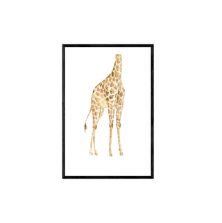 Serie Jirafa I cuerpo - Antonia García de la Huerta