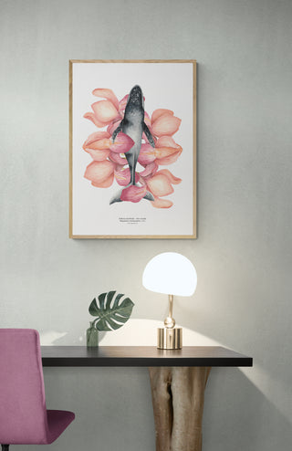 Jorobada Iris Rosada - Tita Bianchi