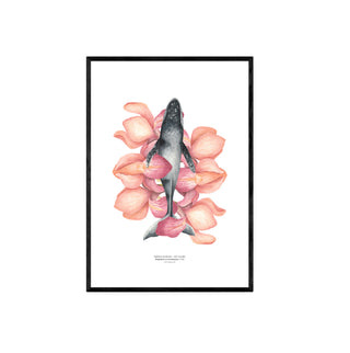 Jorobada Iris Rosada - Tita Bianchi