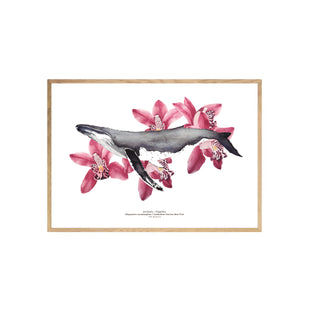 Jorobada y Orquideas - Tita Bianchi