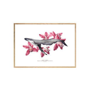 Jorobada y Orquideas - Tita Bianchi